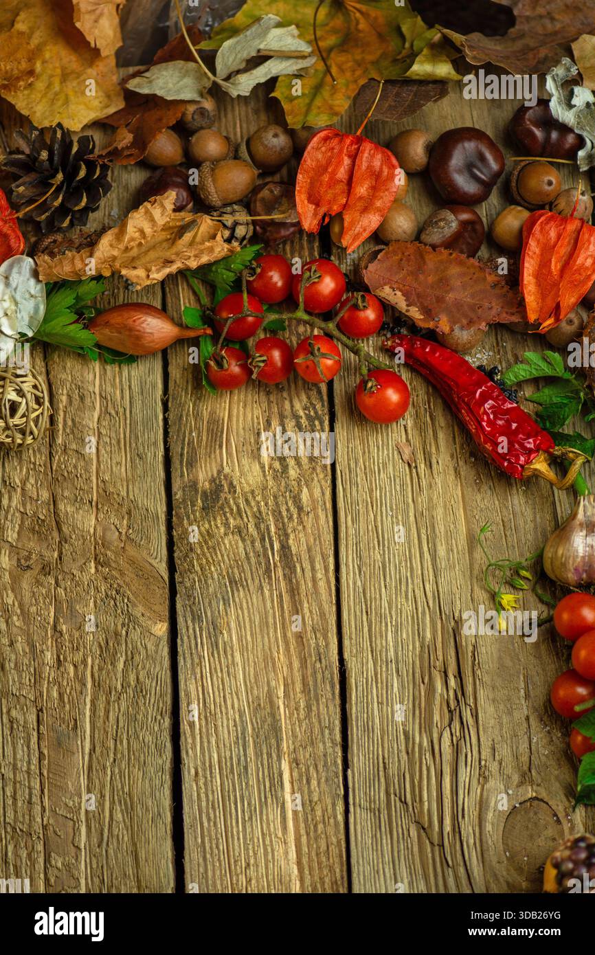 Seasonal plants and dried materials frame central wooden area. Elements ...