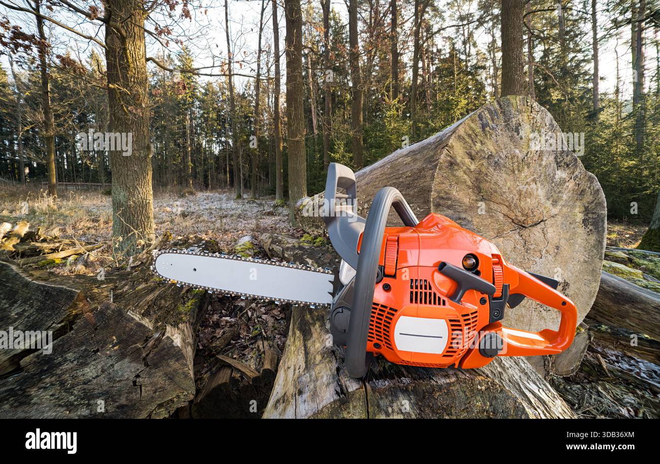 Sharp portable gasoline chainsaw on felled tree trunk in sunny forest. Orange hand-held sawing machine with replaceable chain on alloy steel guide bar. Stock Photo