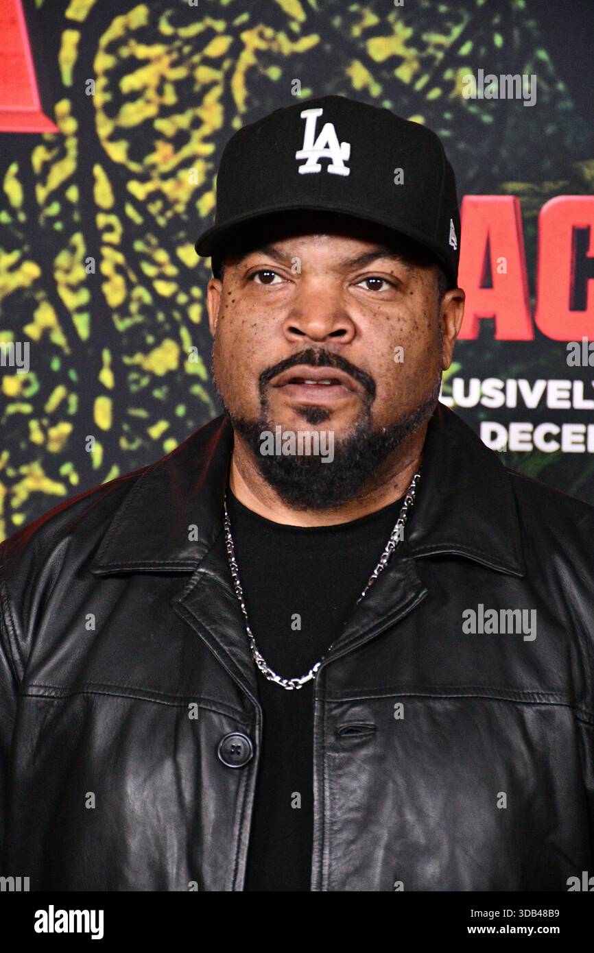 Los Angeles, California, USA 13th December 2025 Rapper Ice Cube attends ...