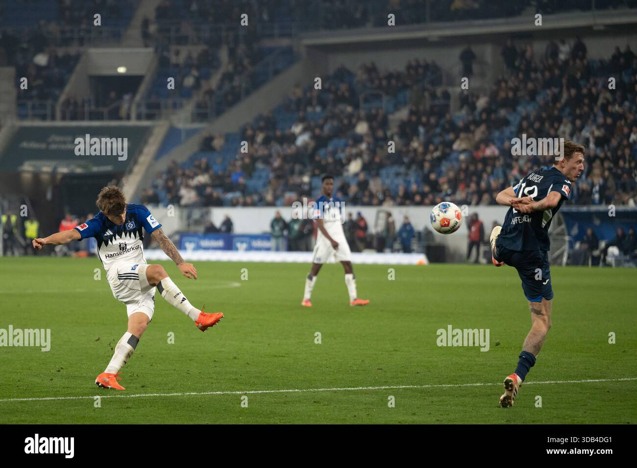 teilnehmer: tsg hoffenheim gegen hsv statistiken