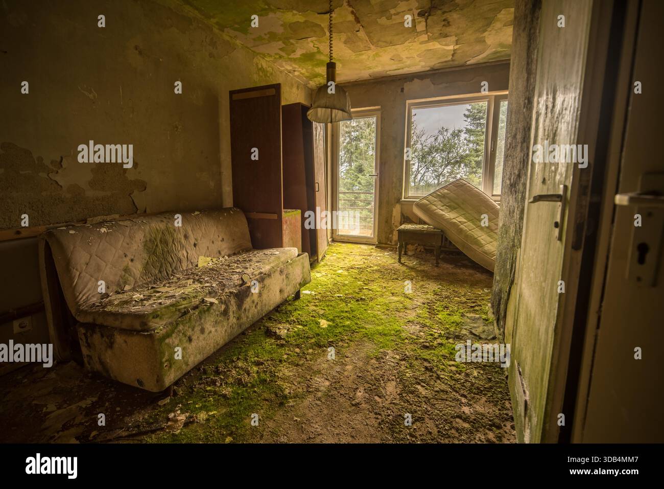 Moss-covered abandoned hotel room with rotting sofa and tilted mattress ...