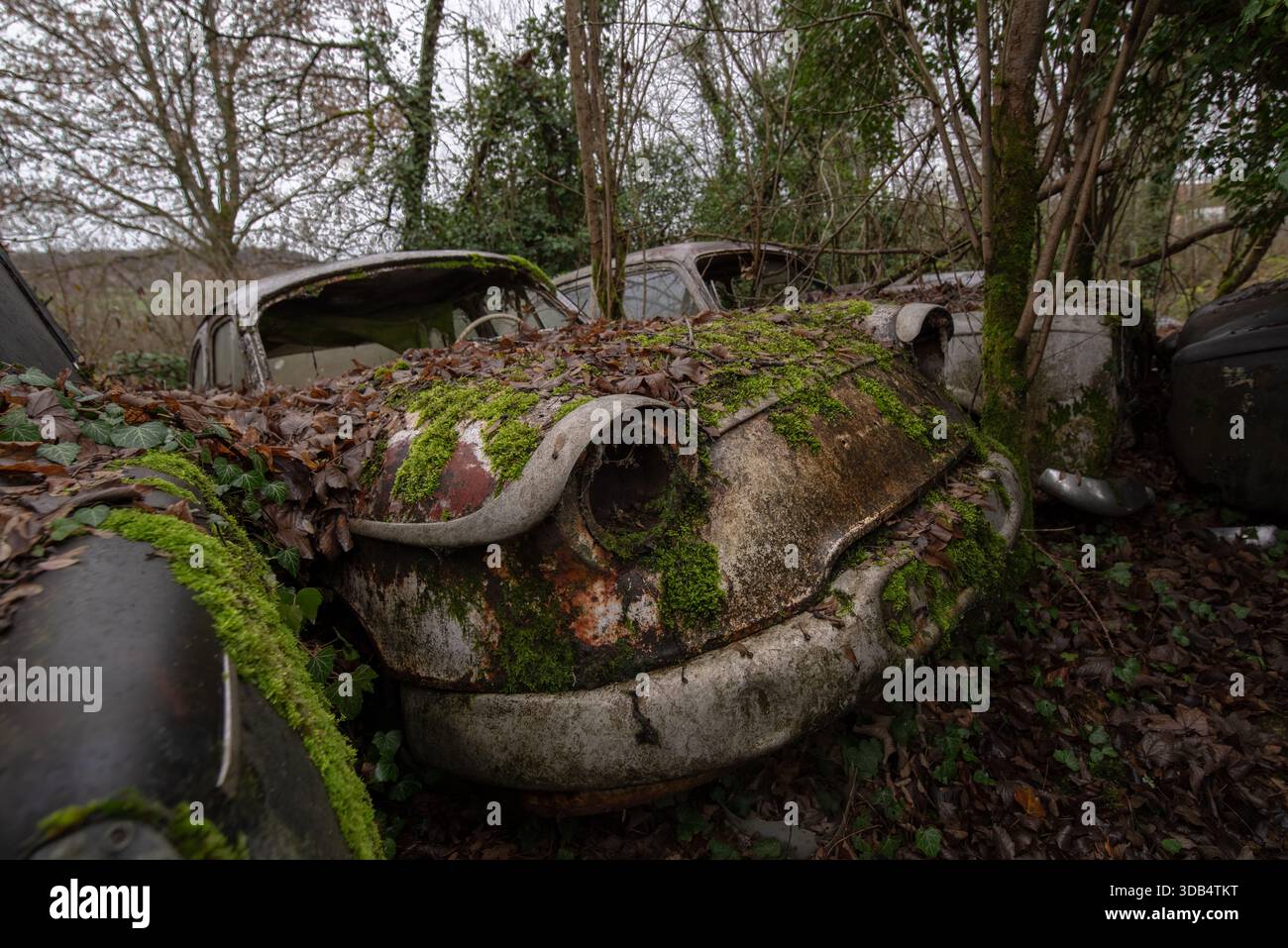 Car bodies hi-res stock photography and images - Alamy