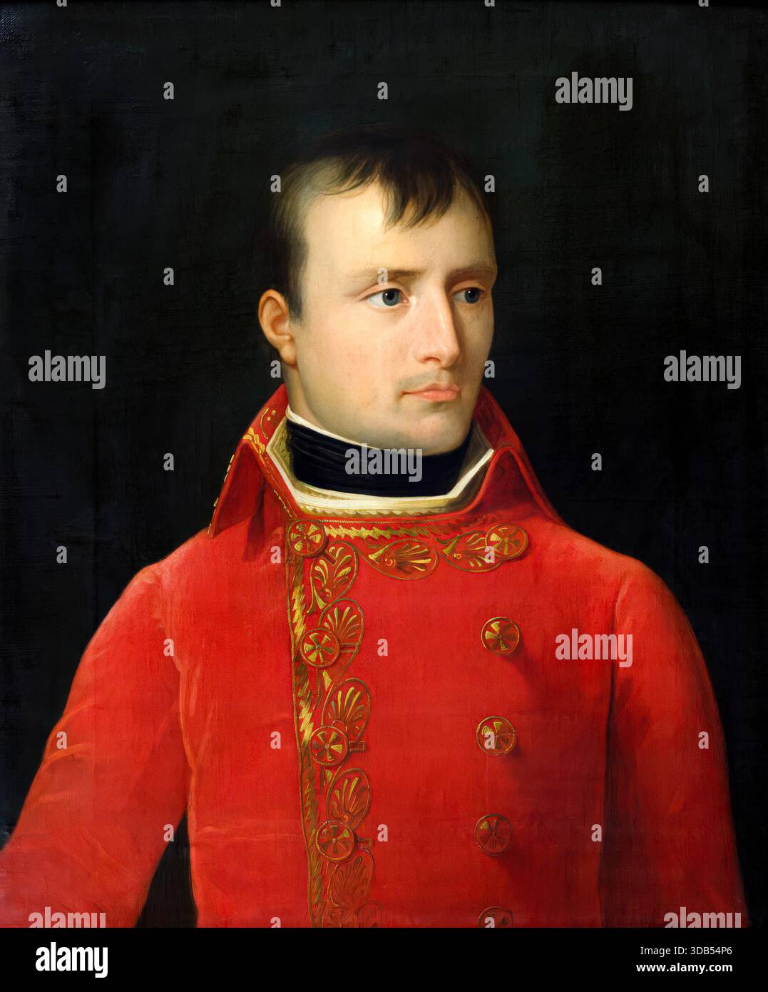 Portrait napoleon bonaparte hi-res stock photography and images - Alamy