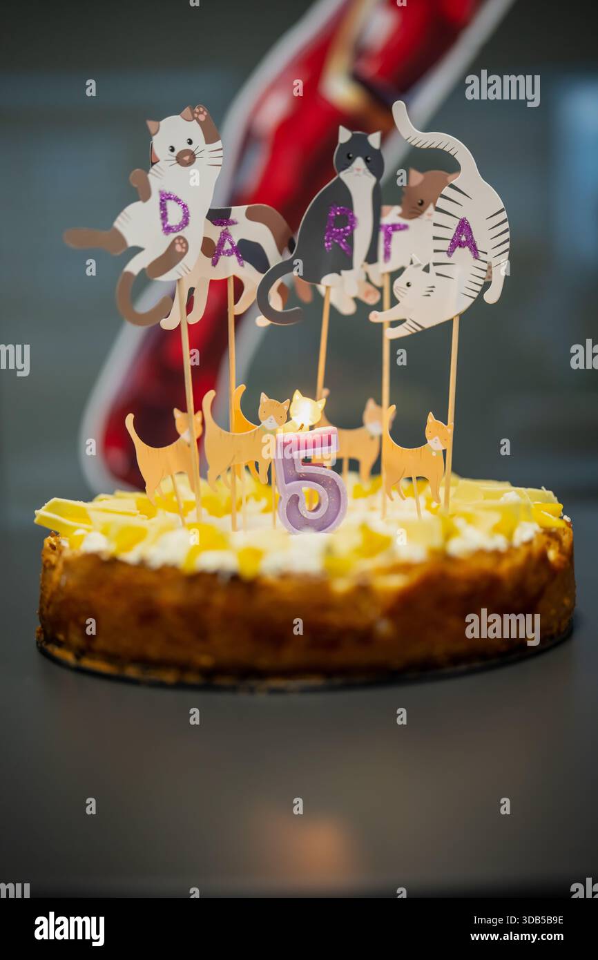 Birthday cheesecake decorated with animal themed cake toppers and ...