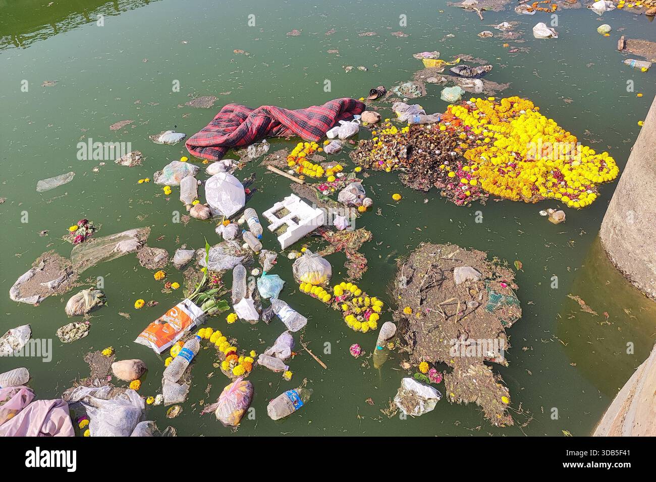 impactful image of plastic waste pollution in nature, featuring ...