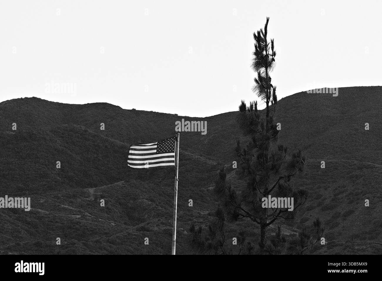 American flag waving isolated Black and White Stock Photos & Images - Alamy