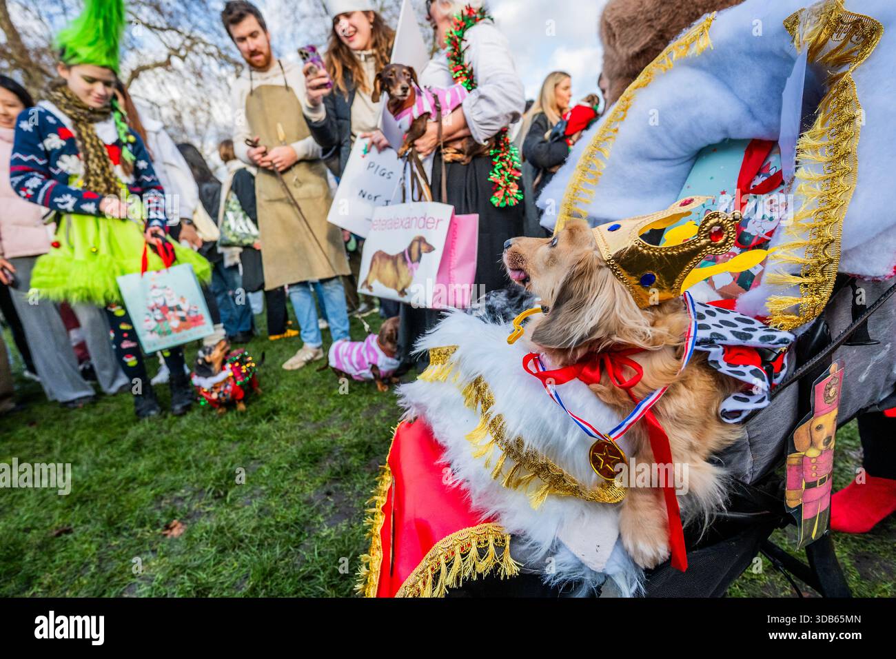 christmas best dressed competition Attention All Pet Lovers Our Christmas Best Dressed Pet Competition is Here! It's time to spread some festive cheer! Dress up your furry friend in their most adorable holiday