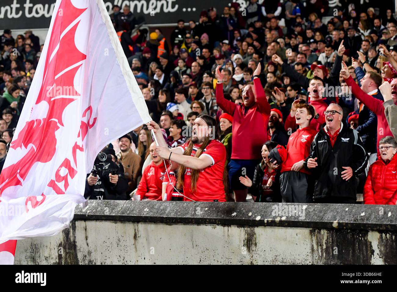 Fans of Scarlets during the EPCR Champions Cup match between Bordeaux ...
