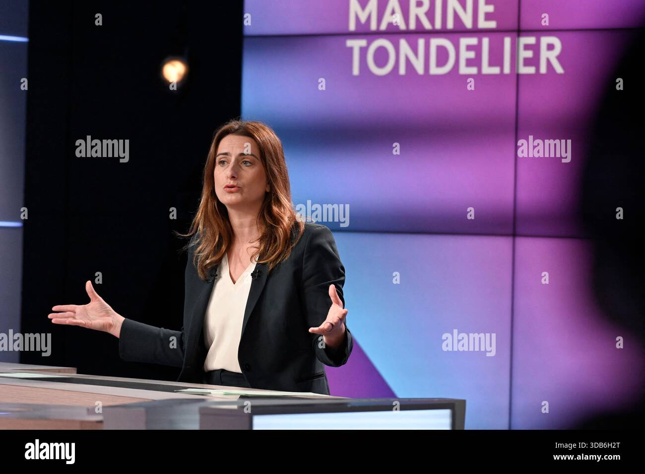 national-secretary-of-french-left-wing-party-the-ecologistes-marine