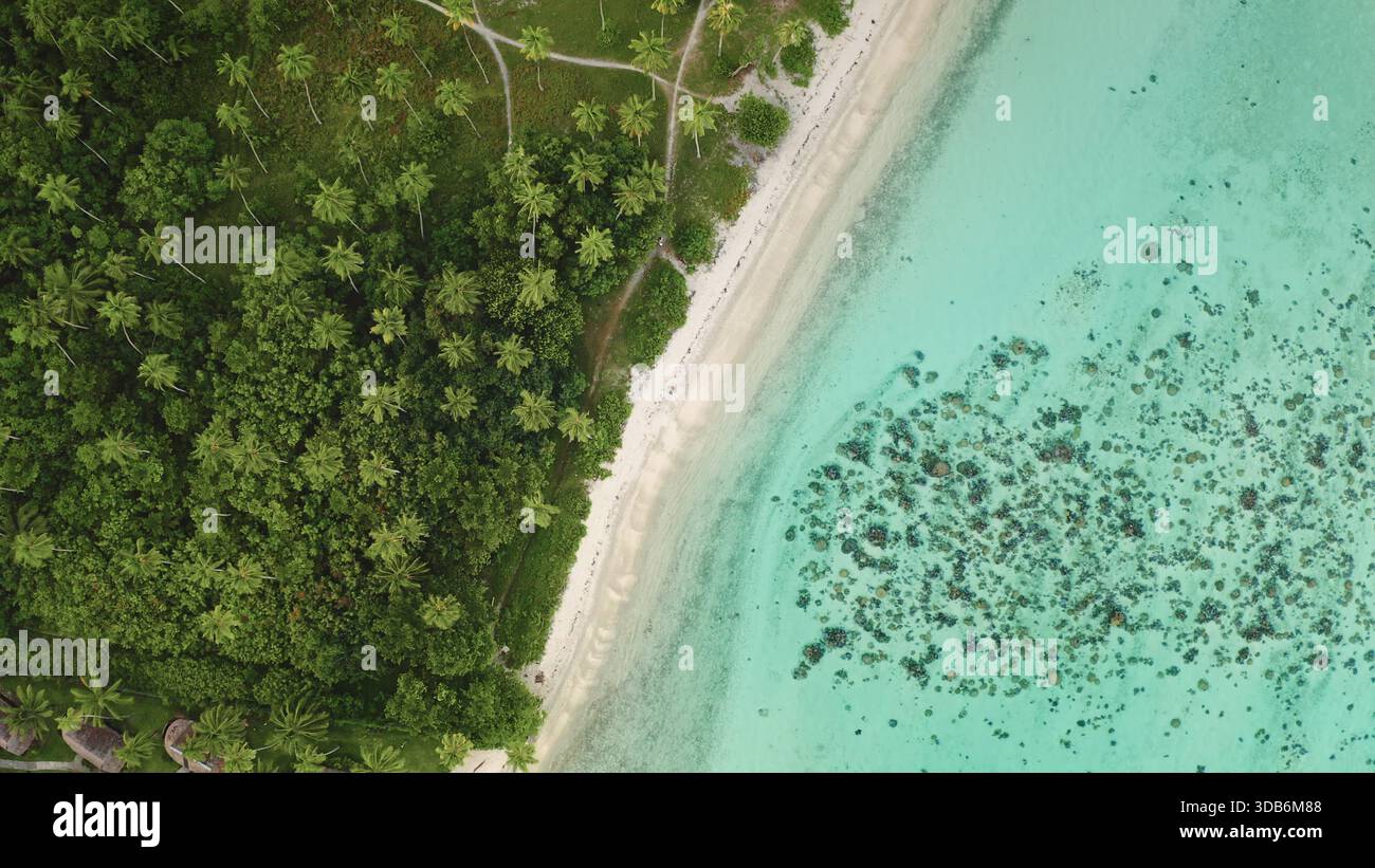 Aerial view palm trees bordering hi-res stock photography and images ...