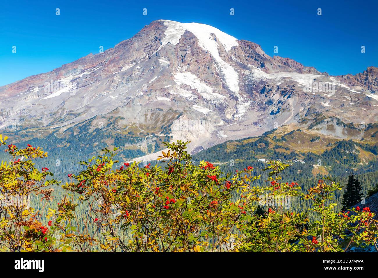 Mount Api Pinnacle A stunning autumn view of Mount Rainier from the Pinnacle Peak trail ...