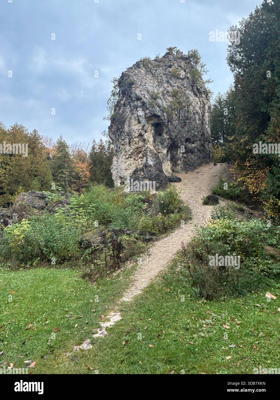Towering Limestone Stack Known as Sugar Loaf in Forest Clearing Stock ...