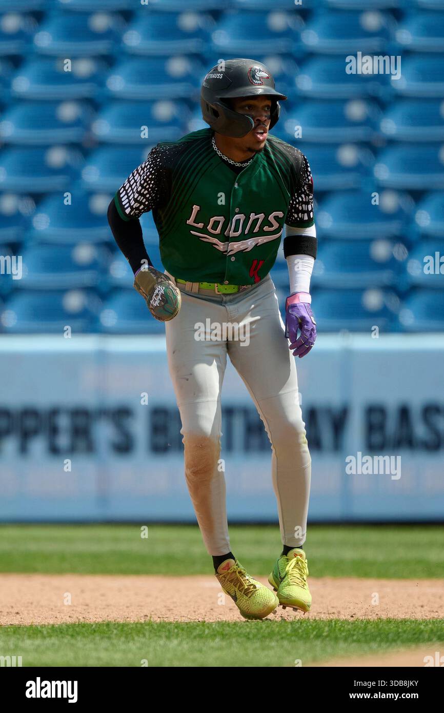Kendall George Midwest League The Incident: A Moment Frozen in Time