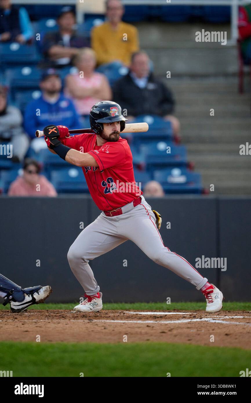 Portland Sea Dogs Drew Ehrhard (22) bats during an MiLB Eastern League ...
