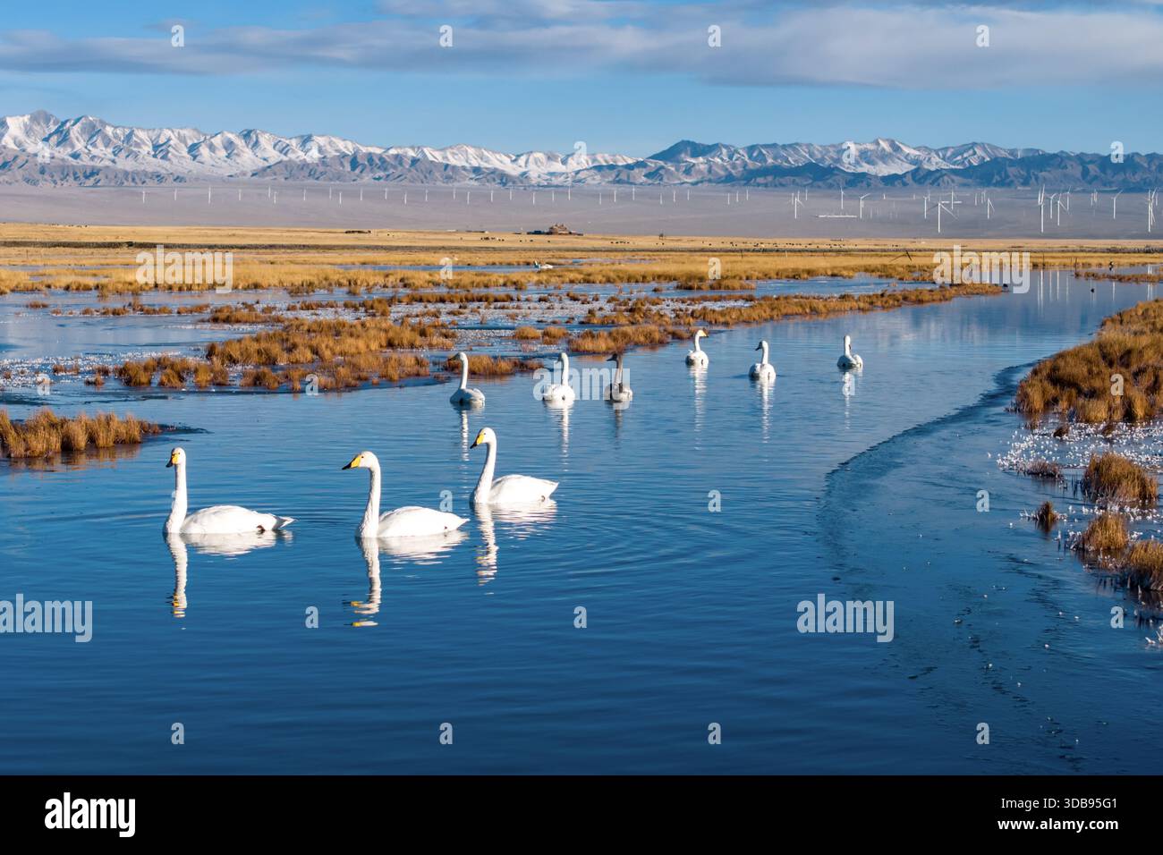 Xiaosugan lake nature reserve hi-res stock photography and images - Alamy