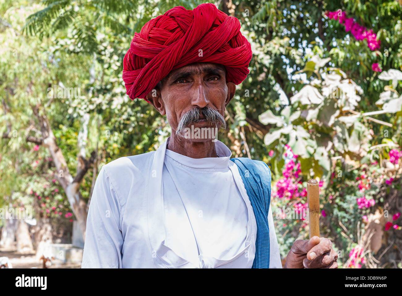 Indian man wearing turban hi-res stock photography and images - Alamy