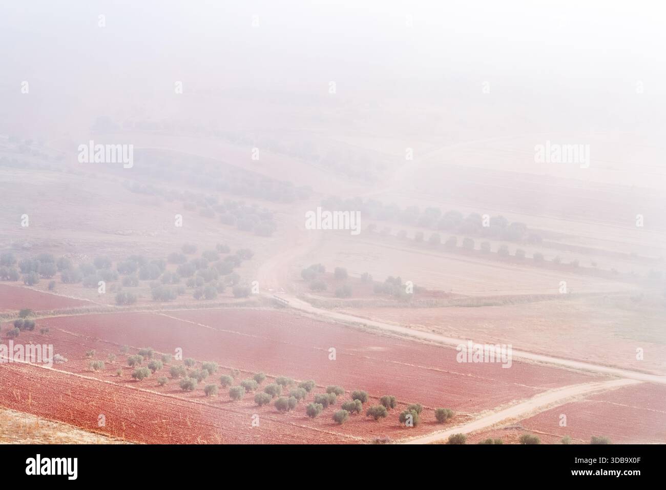 Rural Road Winding Through Foggy Fields Stock Photo