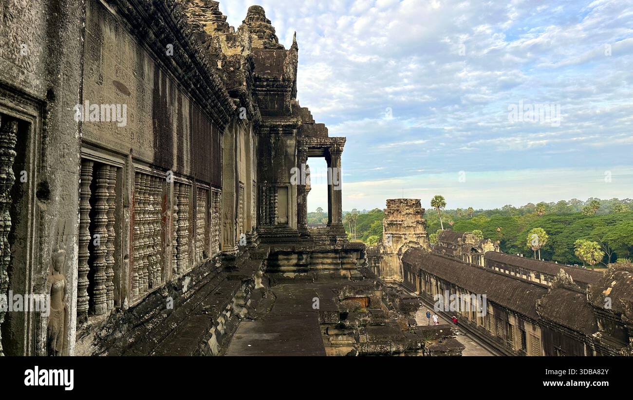 Angkor Wat: History Carved in Stone, Embraced by Nature - Stock Image