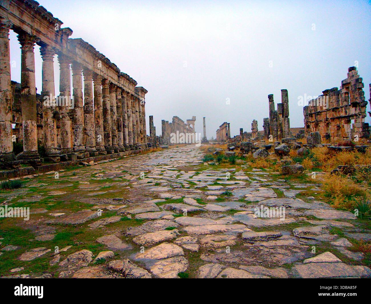 Panoramic view of the Roman ruins of Apamea in the Orontes Valley - Stock Image