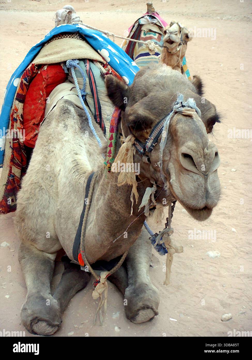 Breathtaking landscape of the ancient Nabatean city carved into rocks, Petra, Jordan - Stock Image