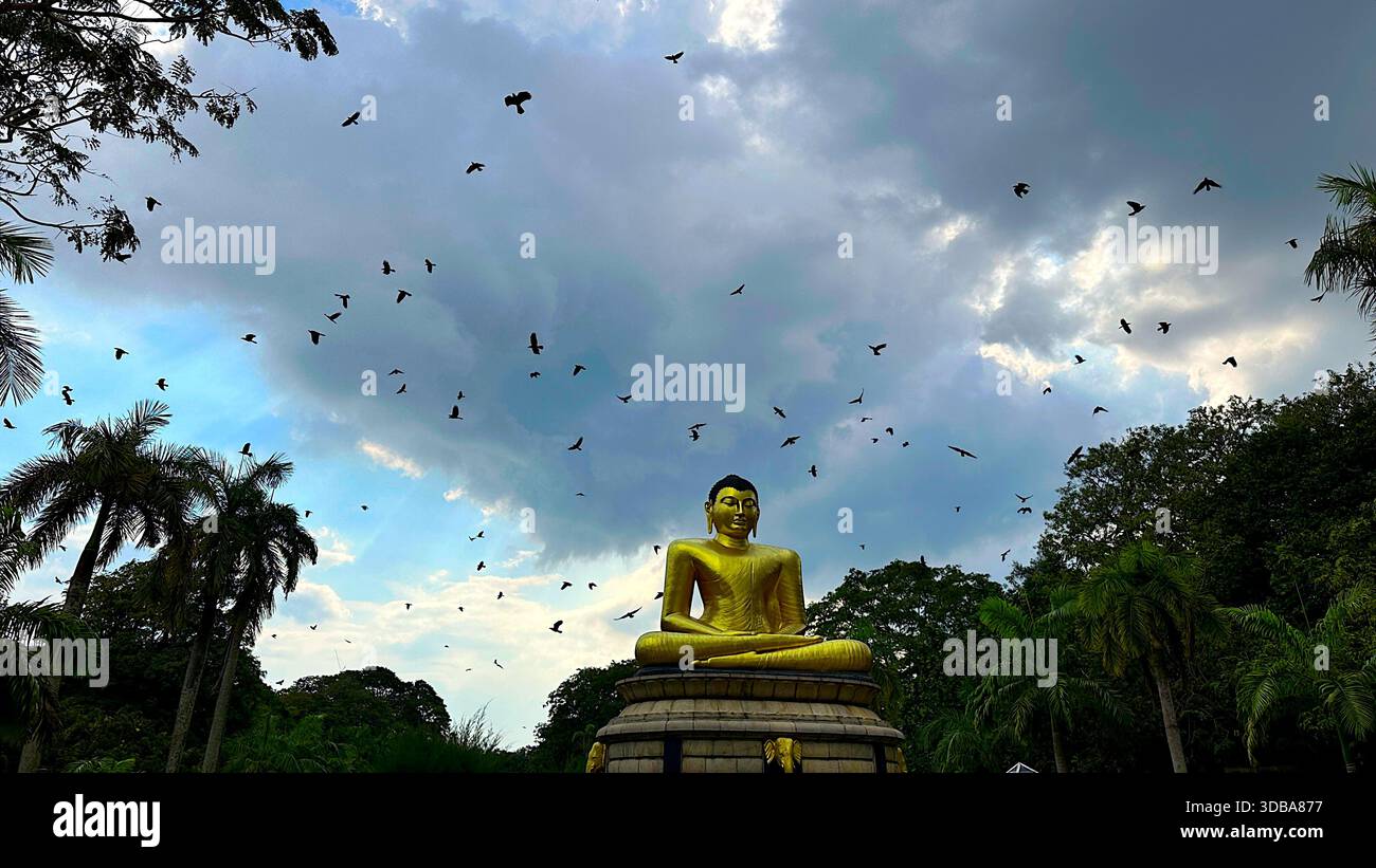 Large Golden Buddha statue in Viharamahadevi Park, Colombo, under a dramatic cloudy sky with a flock of birds flying overhead. - Stock Image