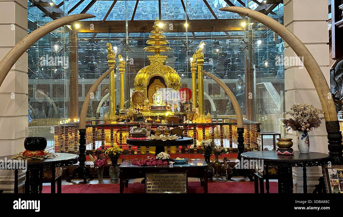 Sacred Golden Relic Chamber framed by large Elephant Tusks inside Gangaramaya Temple, Colombo. - Stock Image
