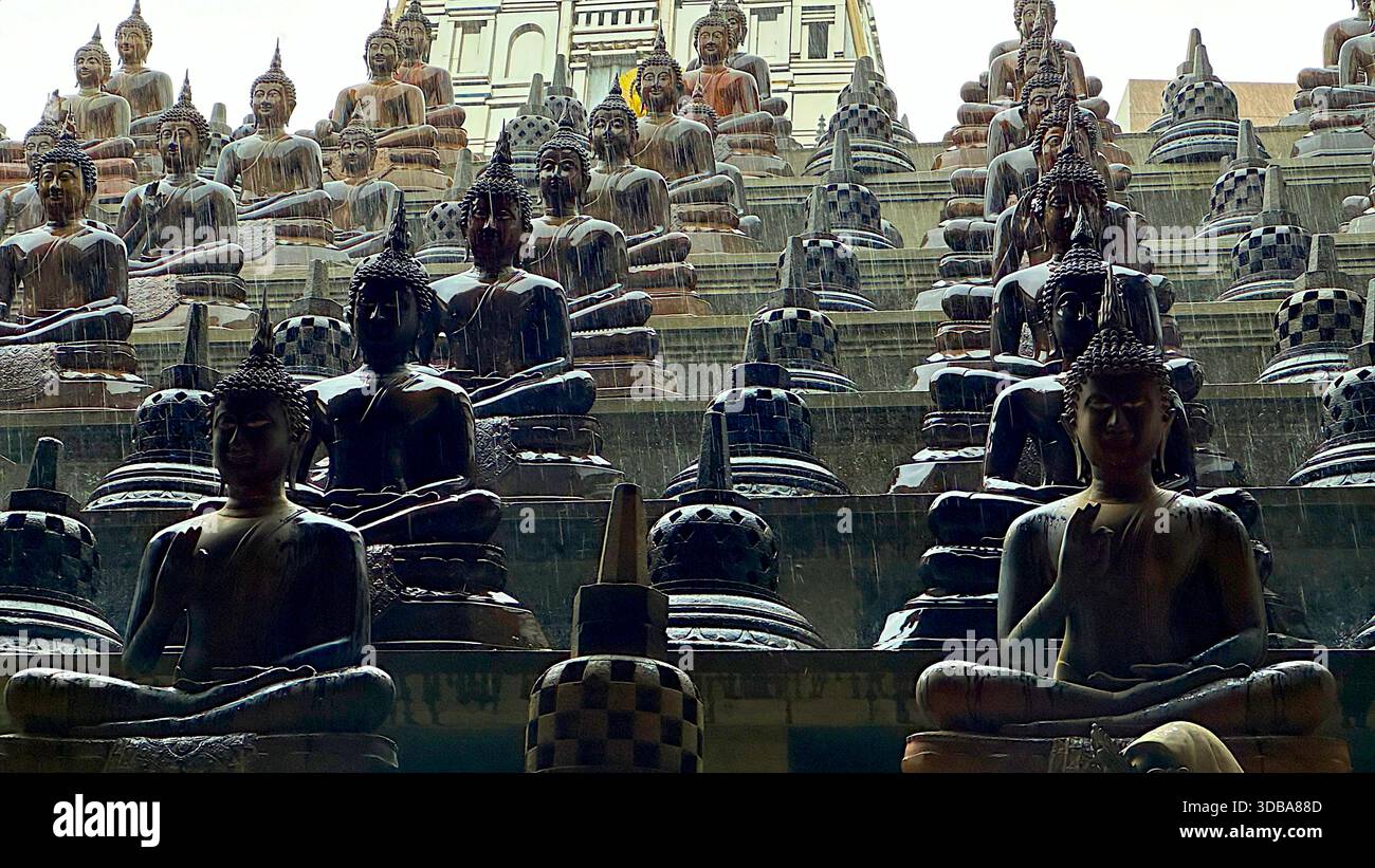 Rows of identical seated Buddha statues arranged on steps at Gangaramaya Temple, Sri Lanka. - Stock Image