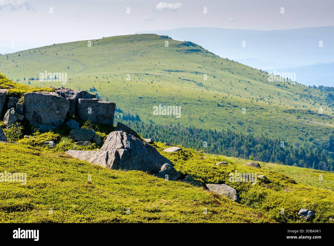 green alpine meadows in carpathian mountains of ukraine in summer. stones on grassy hills. popular travel destination for photo on a sunny morning. be Stock Photo