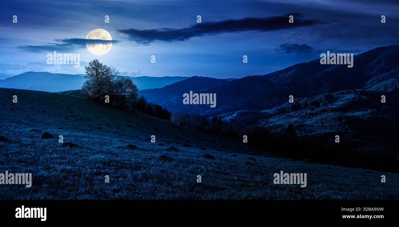 countryside scenery in mountains at night. beautiful landscape with meadows rolling through forested hills in full moon light. wonderful springtime we Stock Photo