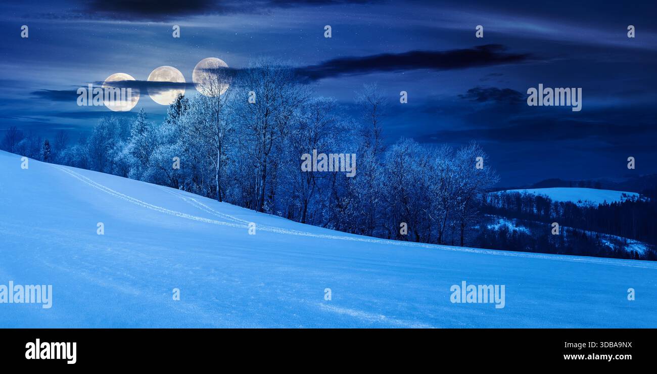 panorama of a beautiful winter landscape at night. forest on a snow covered meadow in full moon light. trees in hoarfrost in wonderful frosty weather. Stock Photo