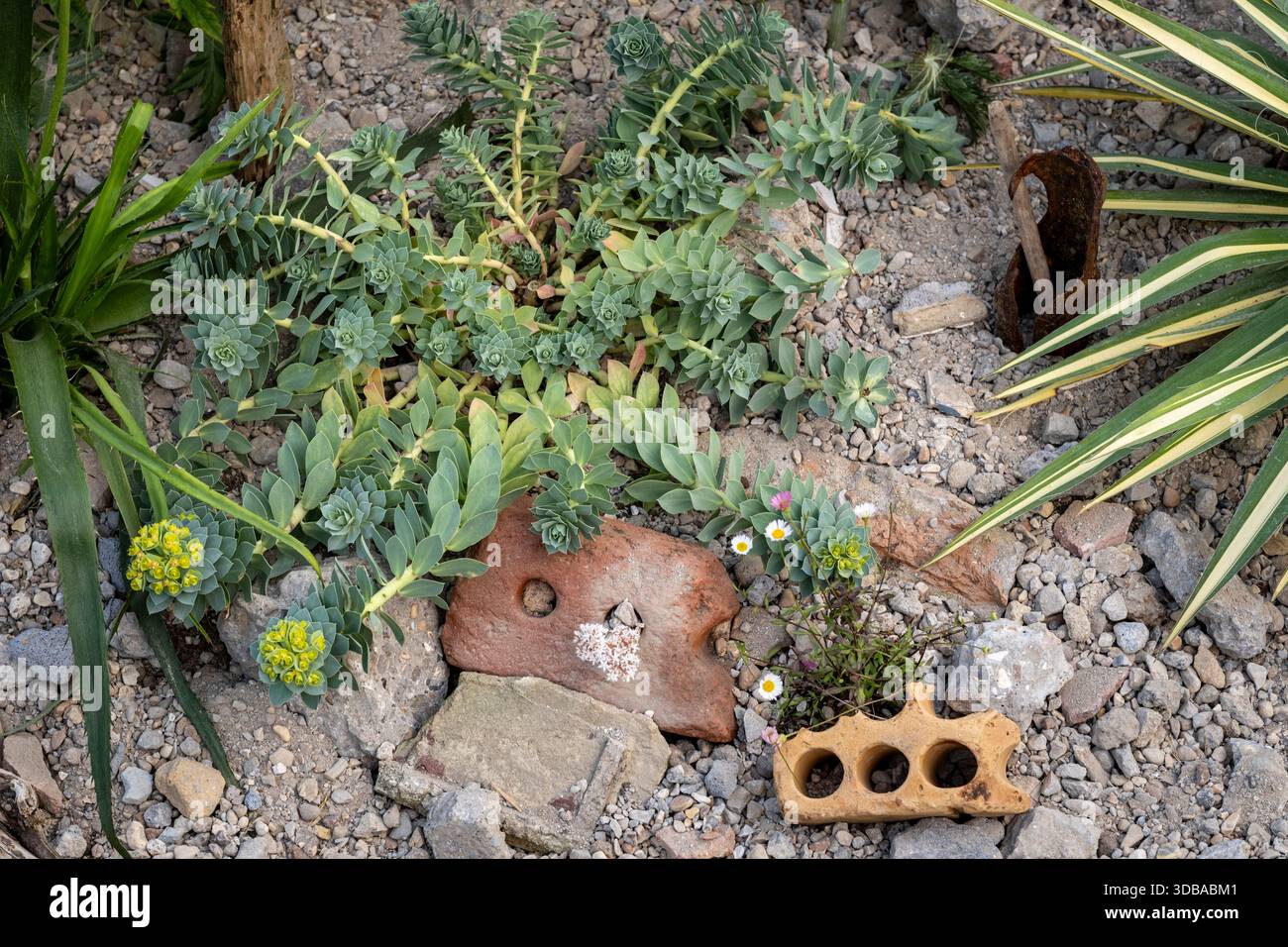 Rubble Border Gravel Garden border utilising recycled rubble and bricks, with drought ...