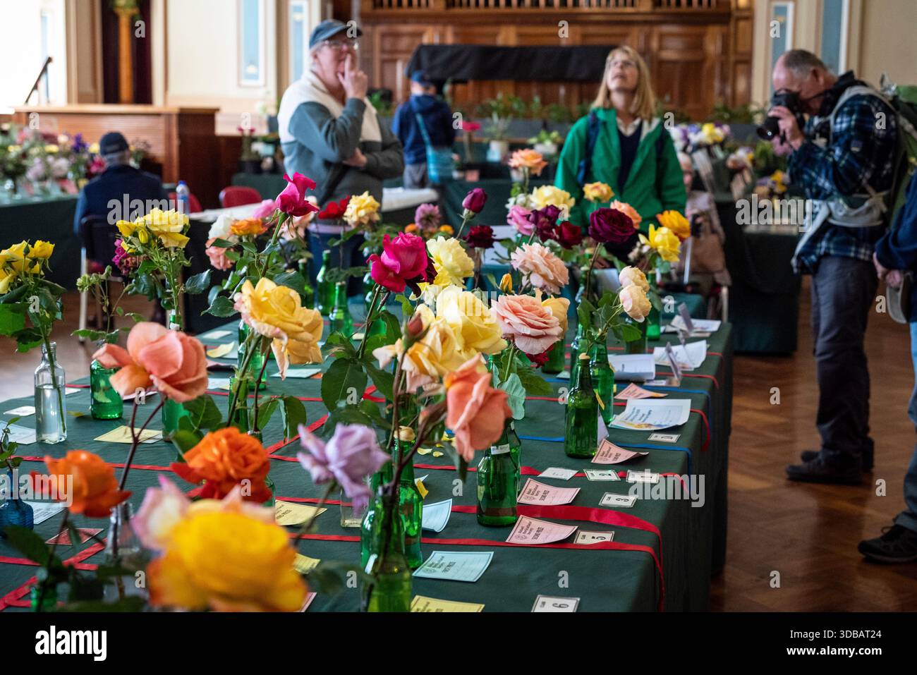 Competitive Flower Contest Flower competition held in the Hobart Town Hall, Hobart, Tasmania ...