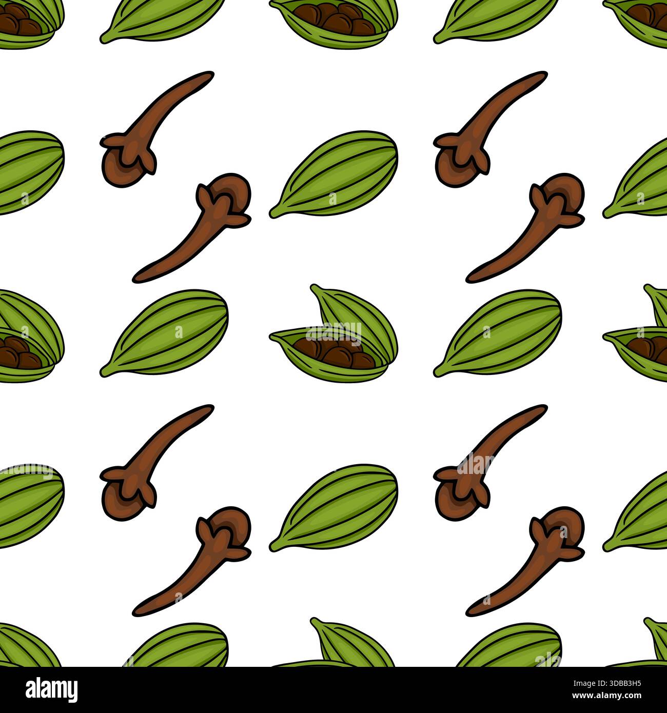 Cardamom pods and white background Stock Vector Images - Alamy
