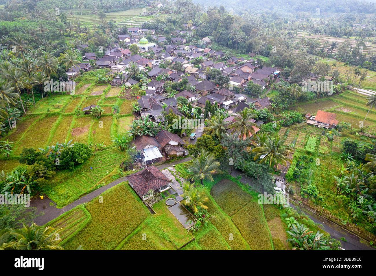 Java Indonesia Farm Muslim mosque in farming village hi-res stock photography and images ...