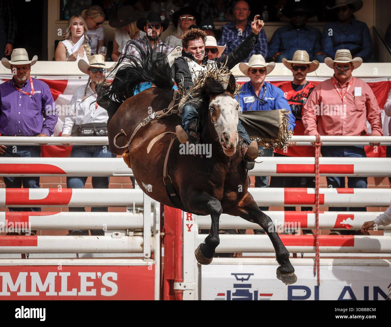 Cooper Cooke, of Victor, Idaho, rides Disco Party to win the bareback ...