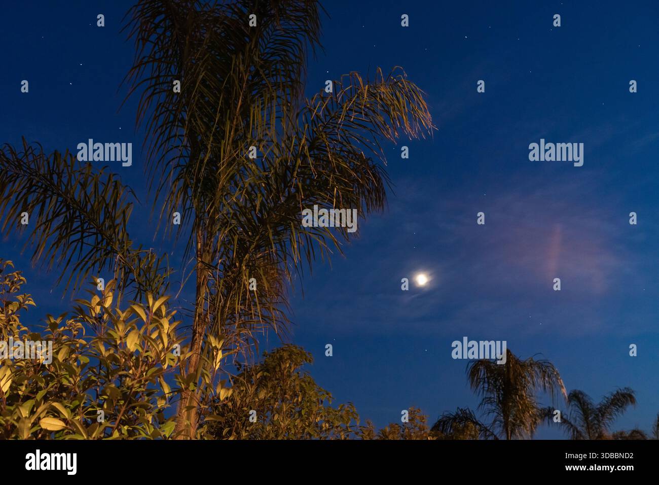 Subtle Night Background Dark night sky scene subtle hi-res stock photography and images - Alamy