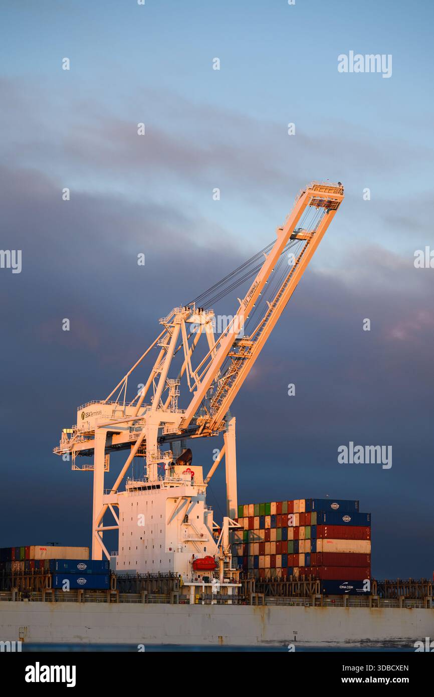 Seattle - December 13, 2025; SSA Terminals industrial crane towers over ...