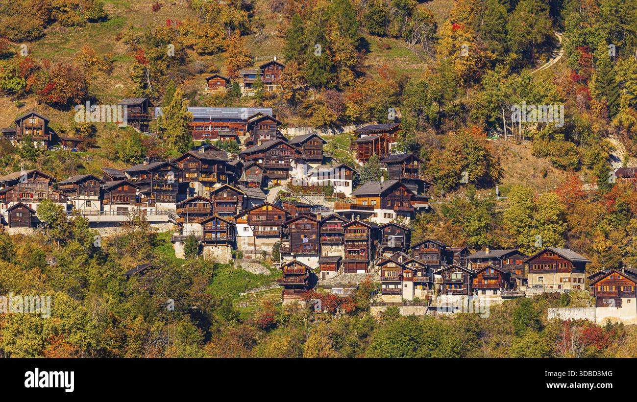 ビカクシダ MOUNTAIN VILLAGE The mountain village of Pinsec with