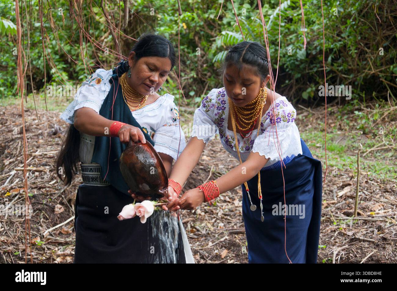Indigenous women in traditional Amazonian dress perform a water and ...