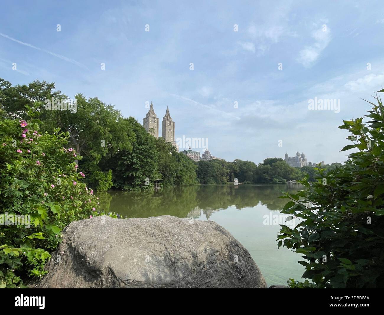 Tranquil summer scenes in Central Park, New York City. - Smartphone Captured Stock Image