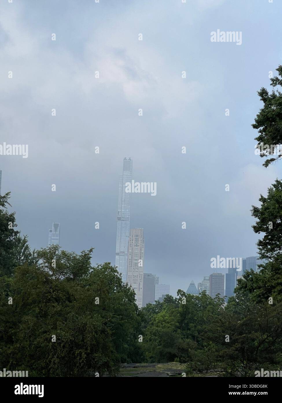 Tranquil summer scenes in Central Park, New York City. - Smartphone Captured Stock Image