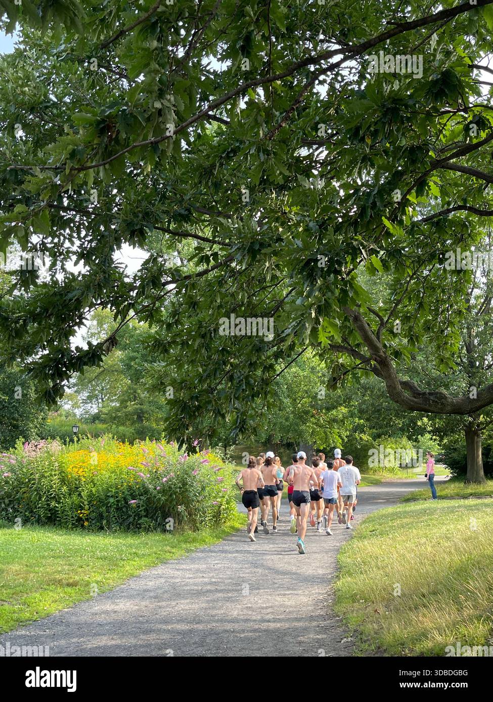 Joggers taking in the scenery of Central Park, NYC. - Smartphone Captured Stock Image