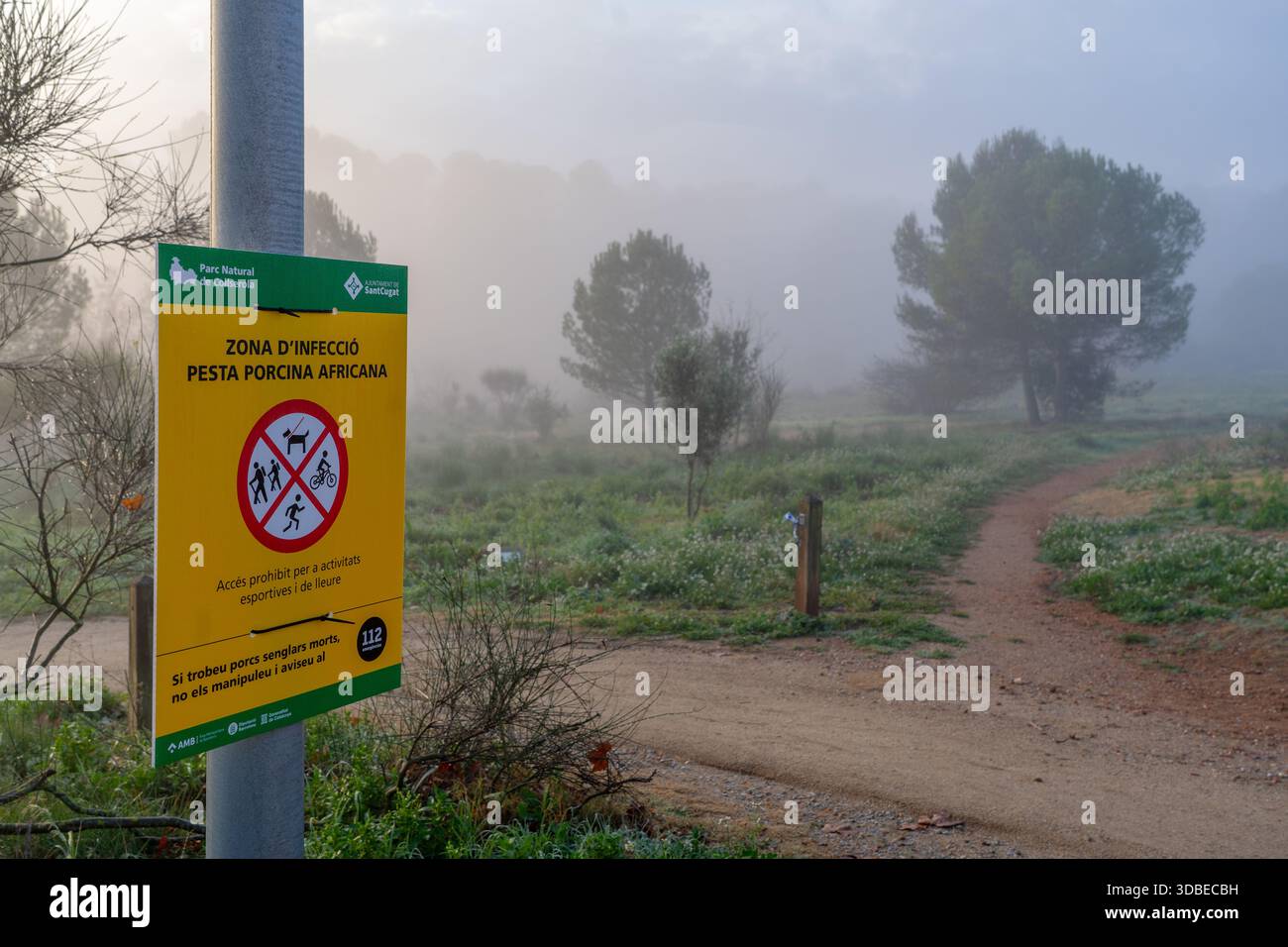 Virus de la peste porcina africana hi-res stock photography and images ...