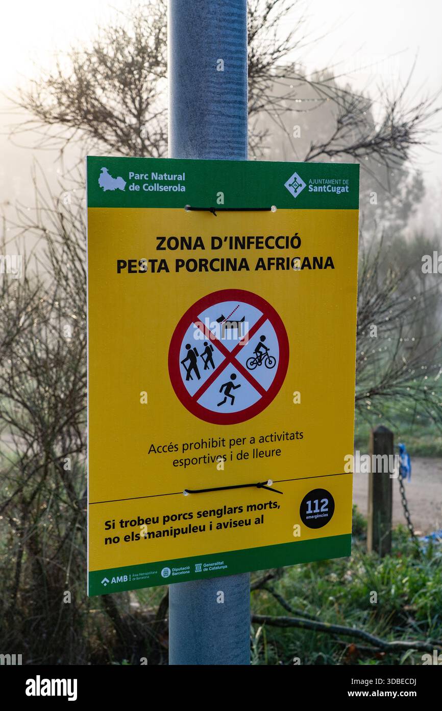 Virus de la peste porcina africana hi-res stock photography and images ...