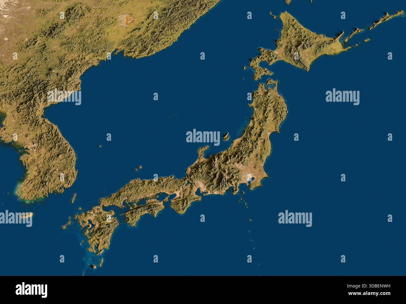 3D rendering of a highly detailed map of Japan. Elements of this