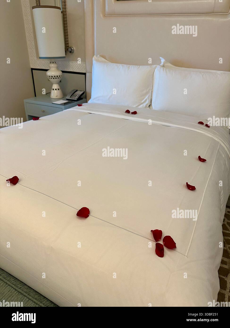 petals on hotel room bed welcome celebration - Smartphone Captured Stock Image