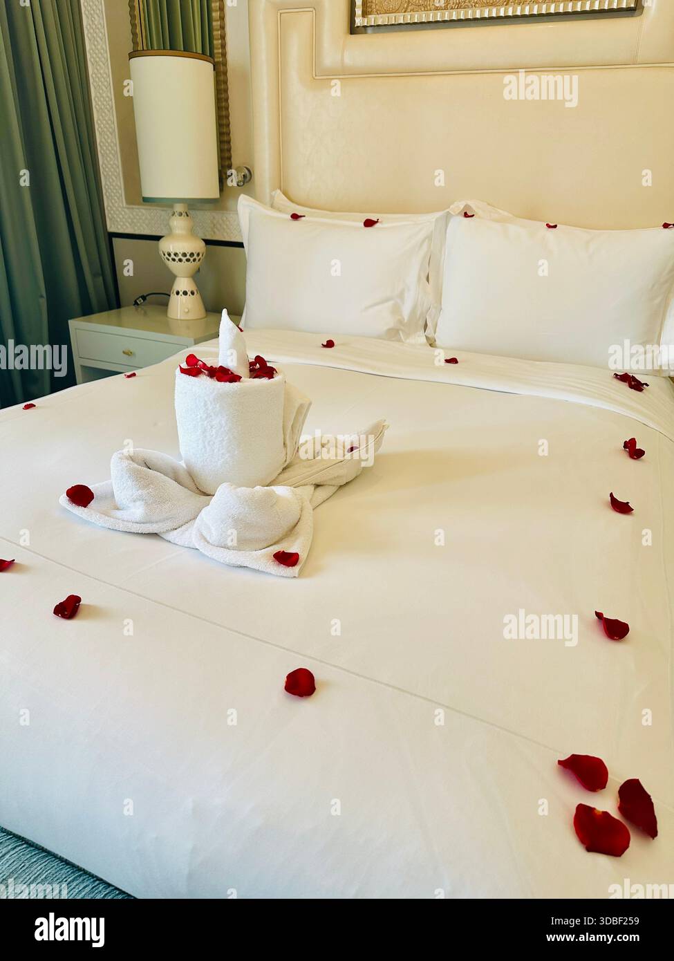 petals on hotel room bed welcome celebration - Smartphone Captured Stock Image