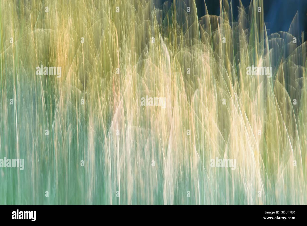 Abstract green modern background. Blurred lines, abstract nature. Stock Photo