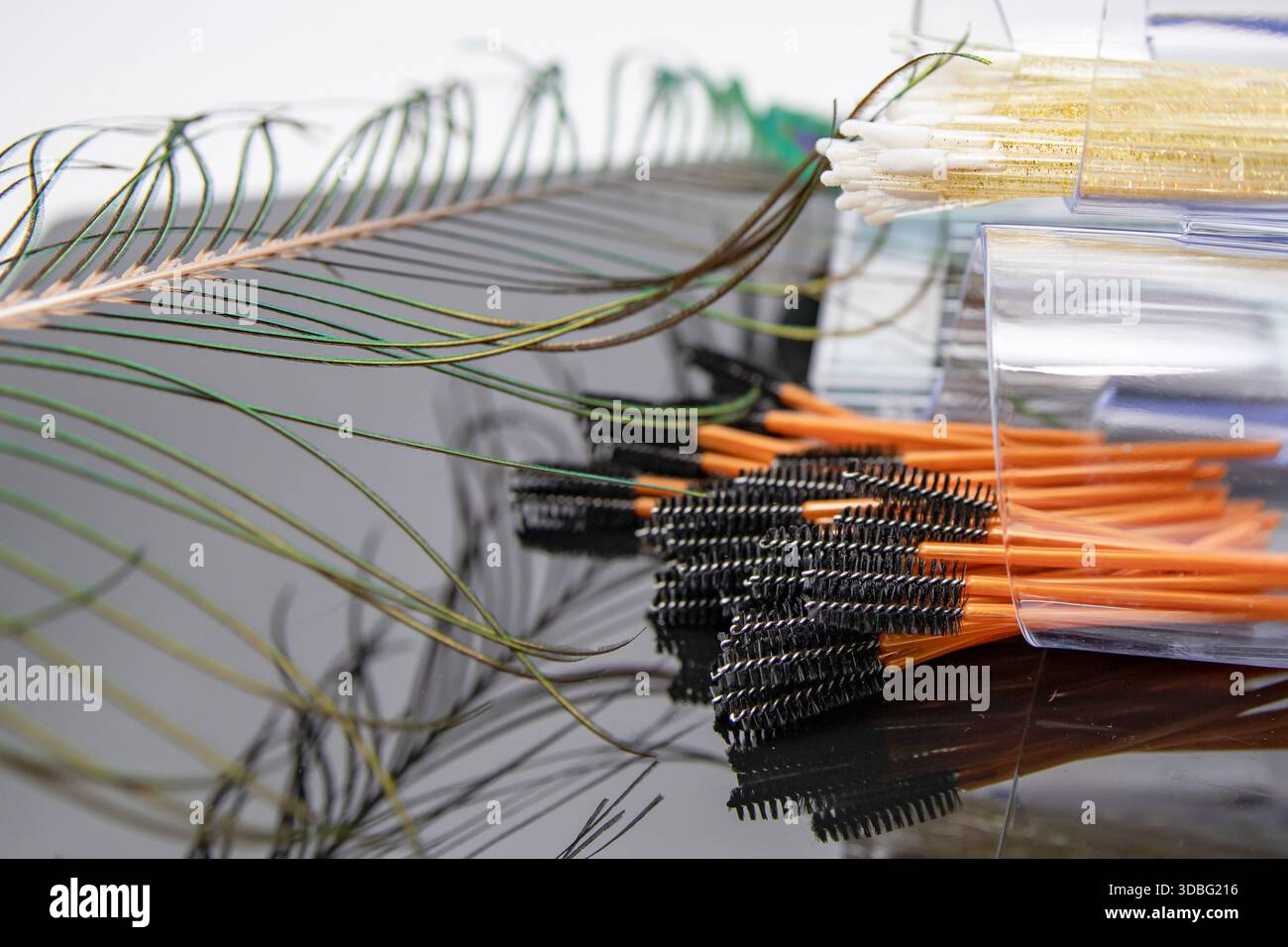 Disposable mascara brushes in transparent containers on reflective studio surface Stock Photo