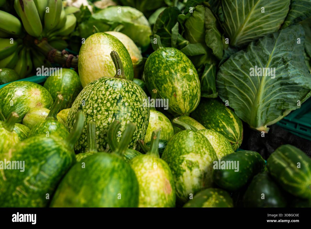 Funchal market stall with green striped gourds and island produce Stock Photo